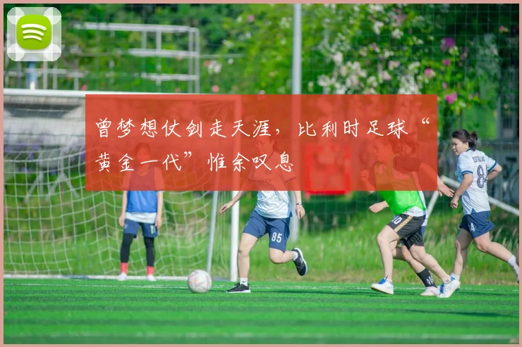 曾梦想仗剑走天涯，比利时足球“黄金一代”惟余叹息