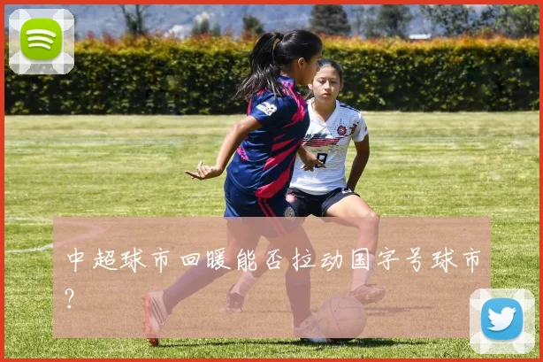 中超球市回暖能否拉动国字号球市？