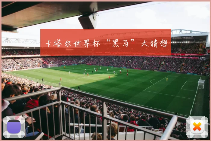 卡塔尔世界杯“黑马”大猜想