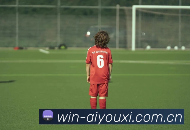 爱游戏体育品牌故事