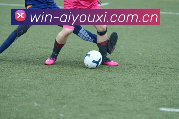 爱游戏体育服务体系