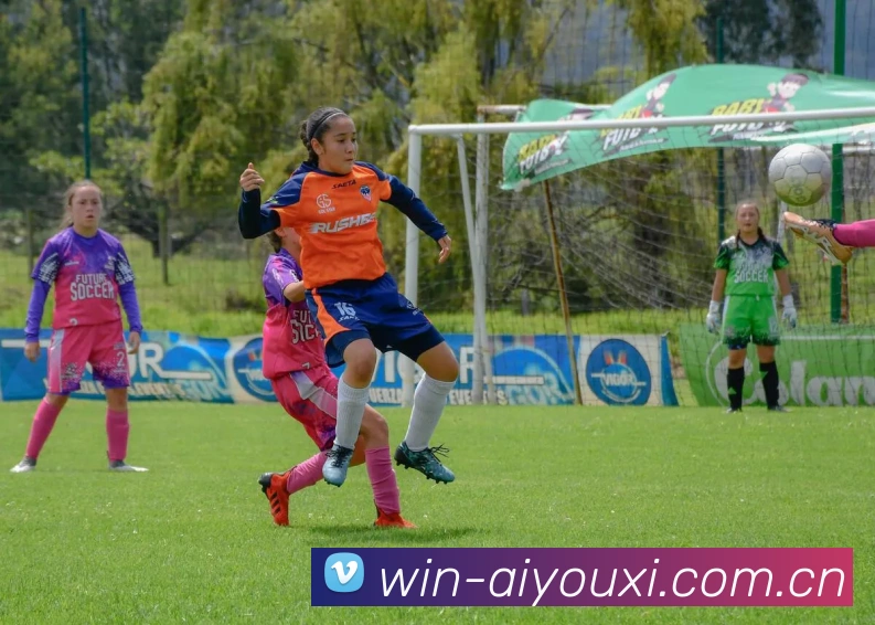 多媒体互动体验